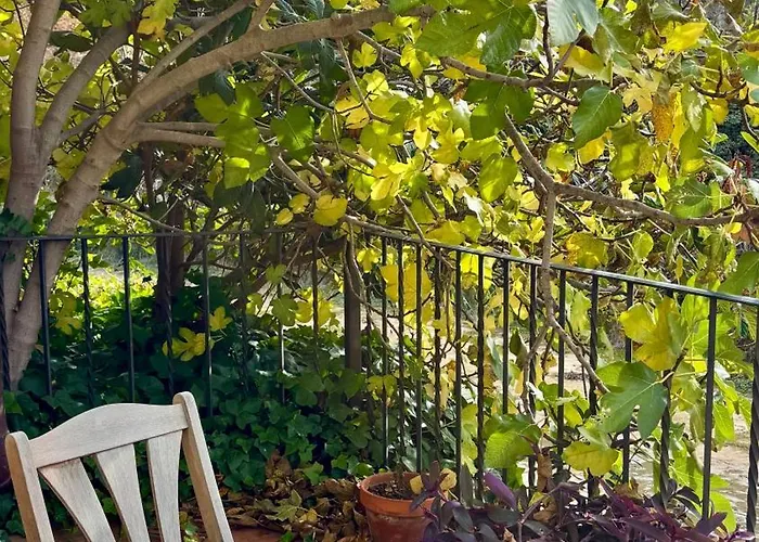 Casa Laiglesia Lantställe Uncastillo